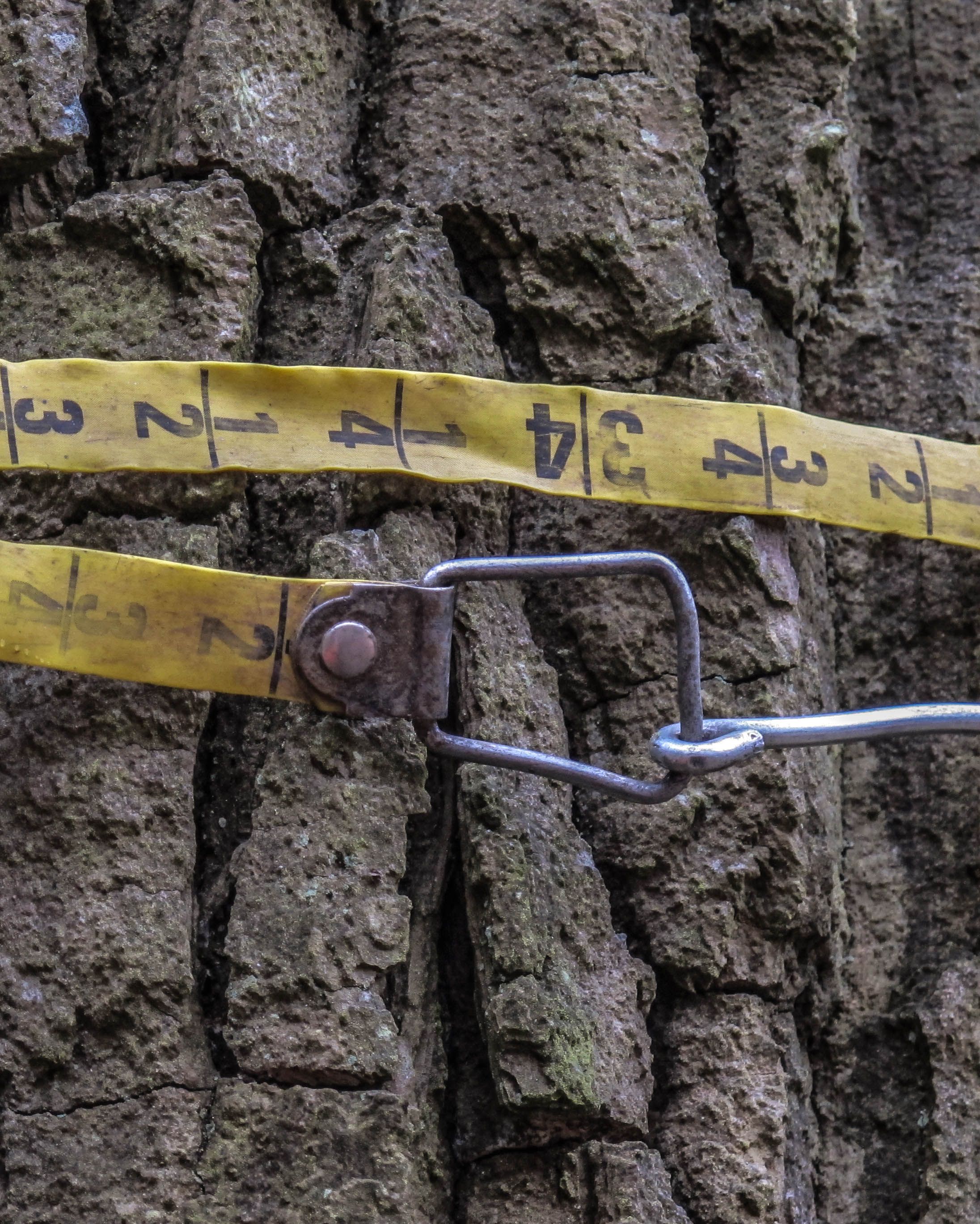Abbeydale Industrial Museum