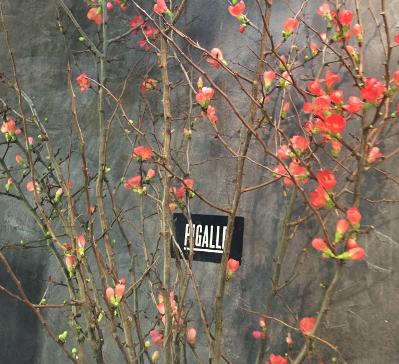 Pigalle