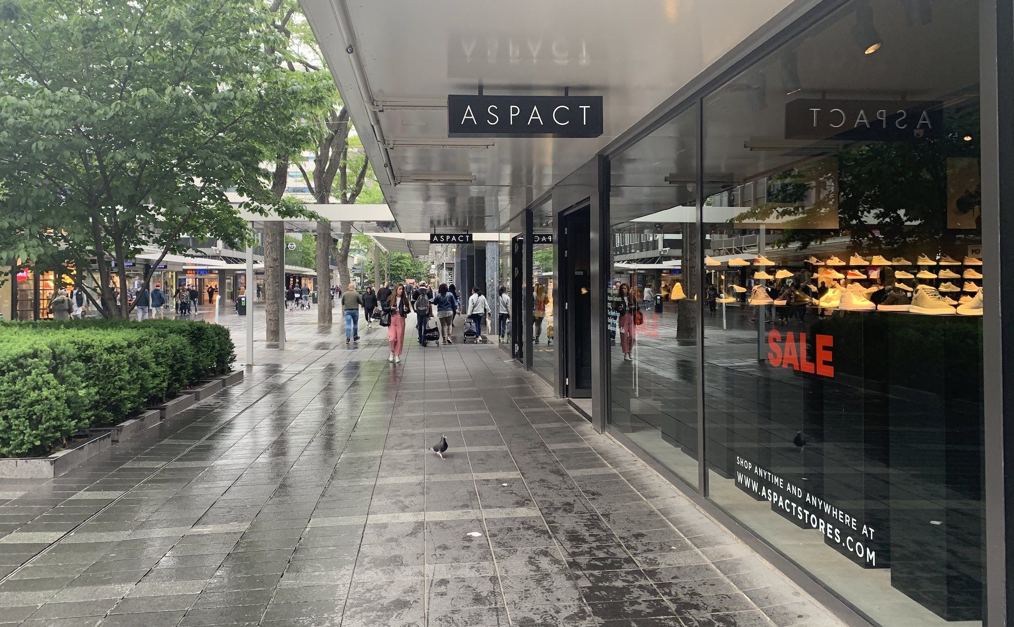 Aspact