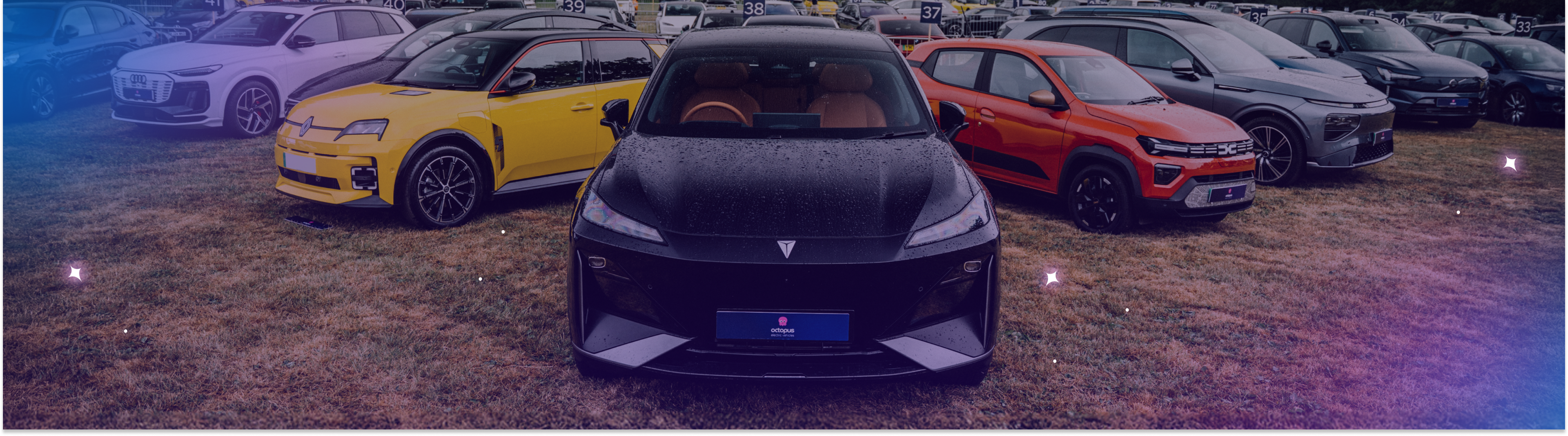 Line up of top of the range EVs