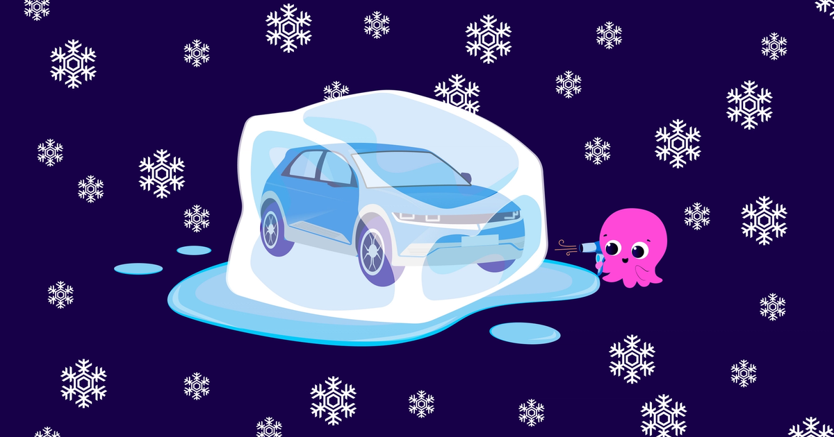 Driving electric cars in winter Octopus EV