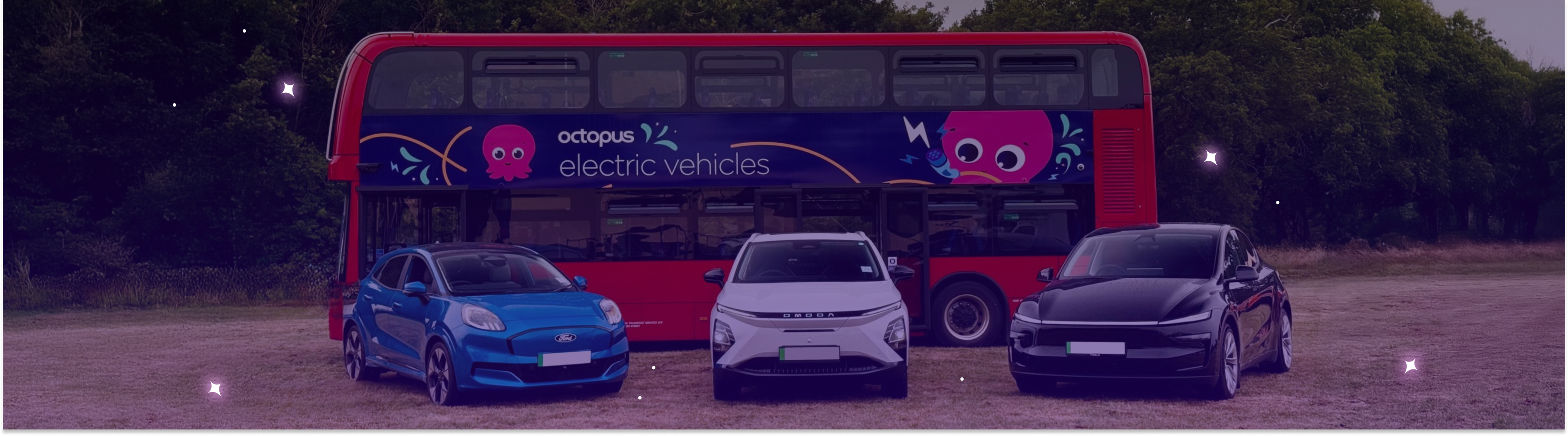 Ford Puma, Omoda E5, and Tesla Model Y in front of an Octopus EV branded Bus