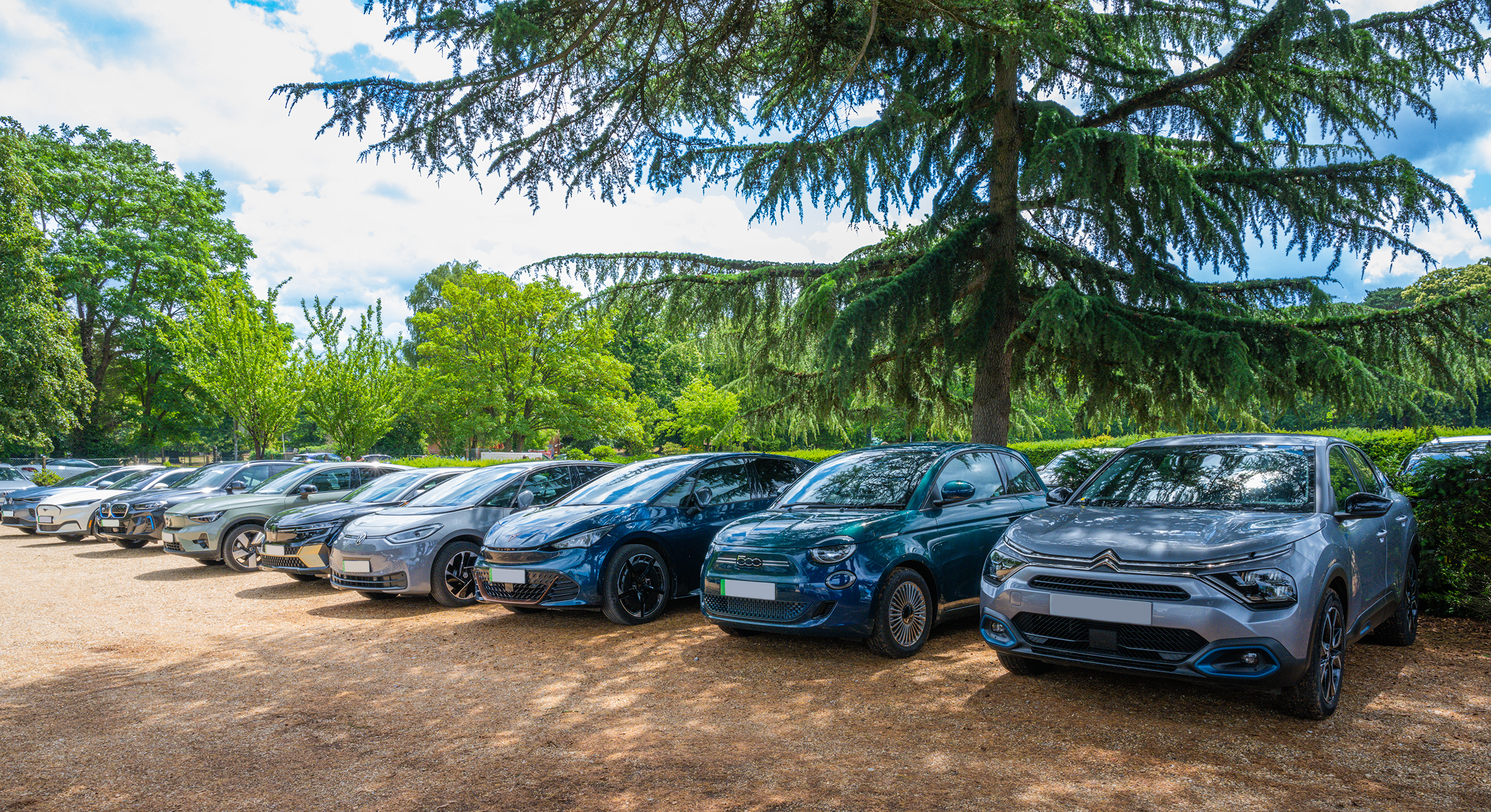 A line of EVs parked up on a gravel driveway