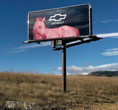 HOT MESS “Free Advertising, Like A Rock.” Chevrolet. Colorado.