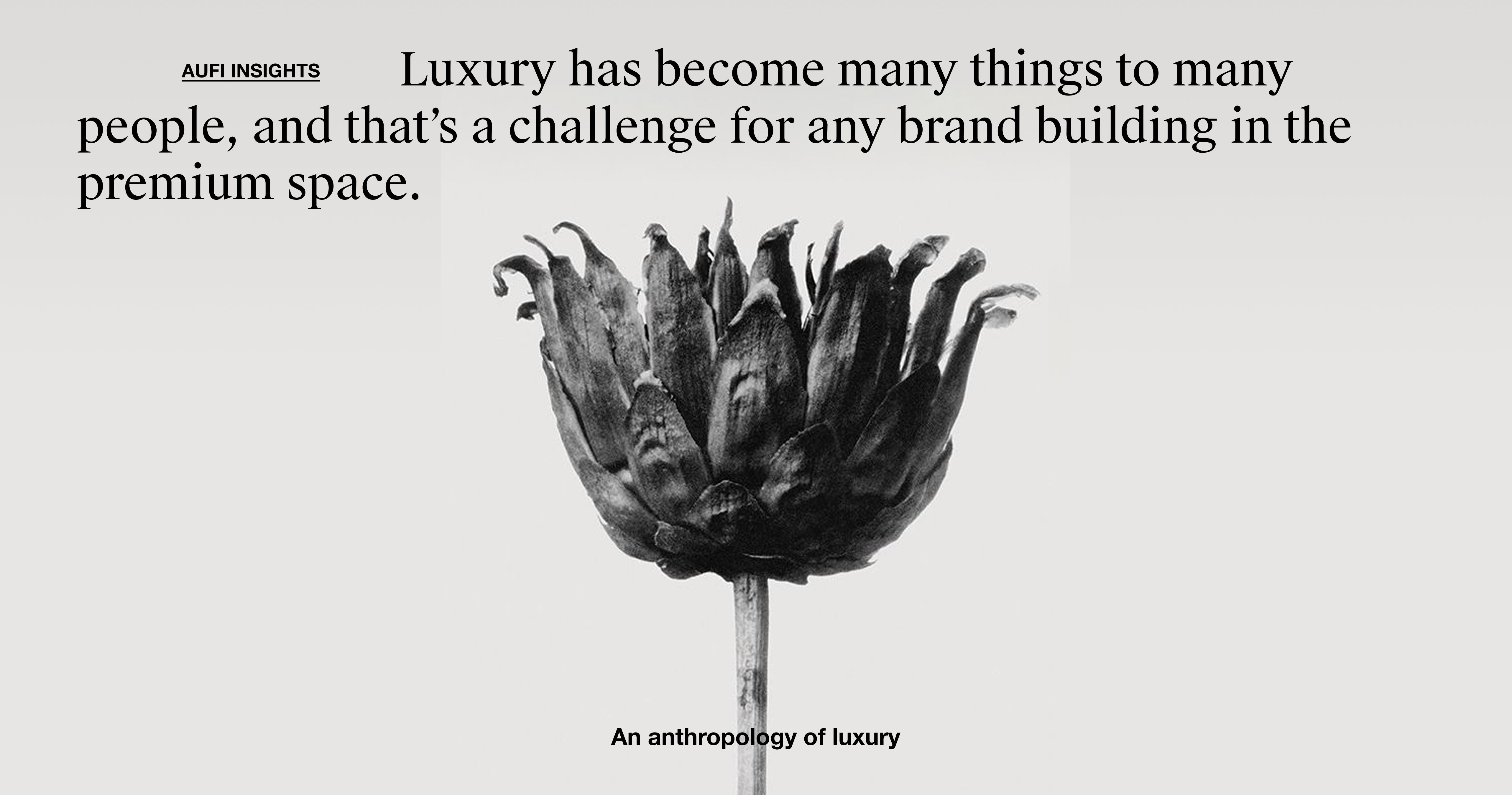 An anthropology of luxury