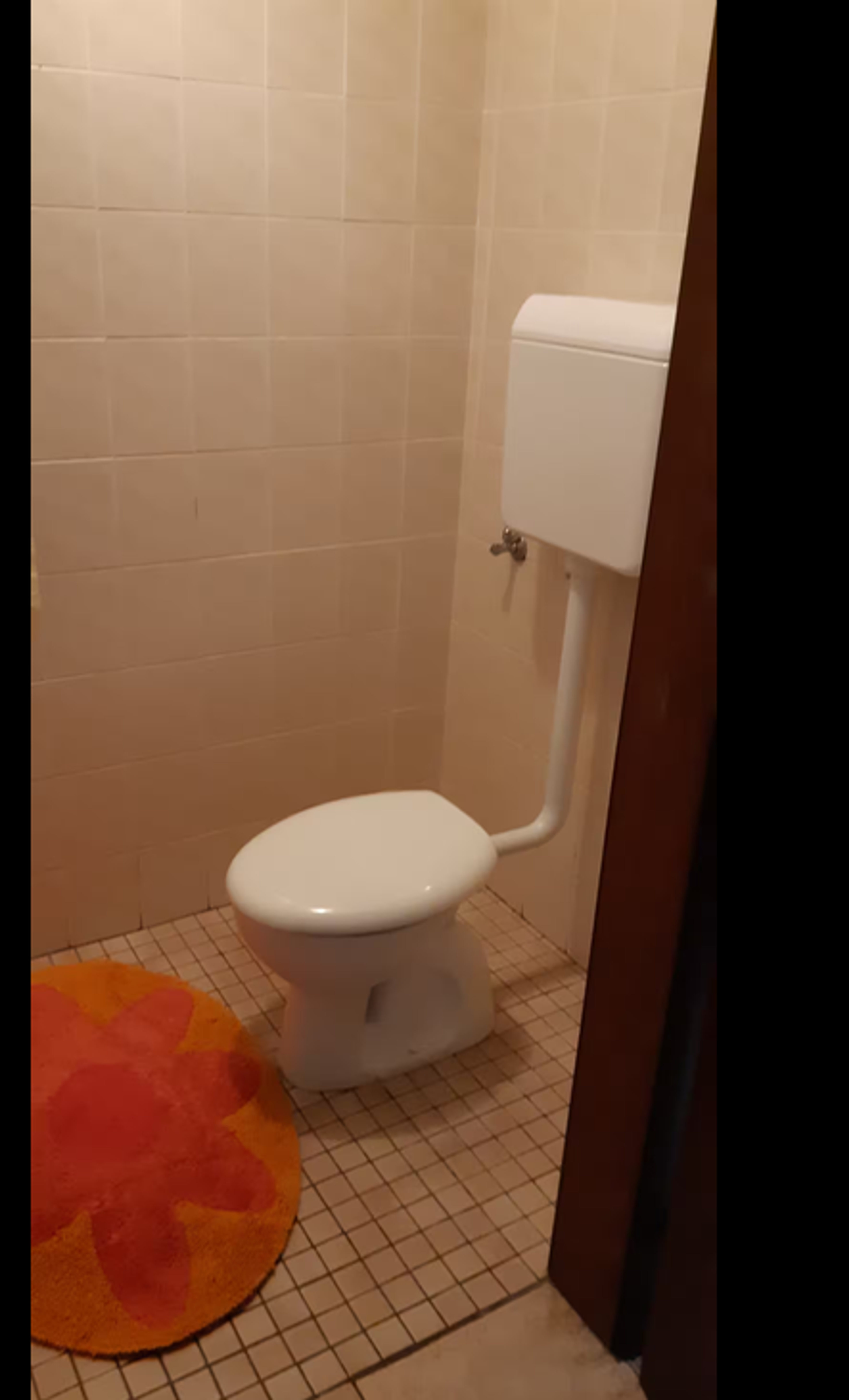 Toilette