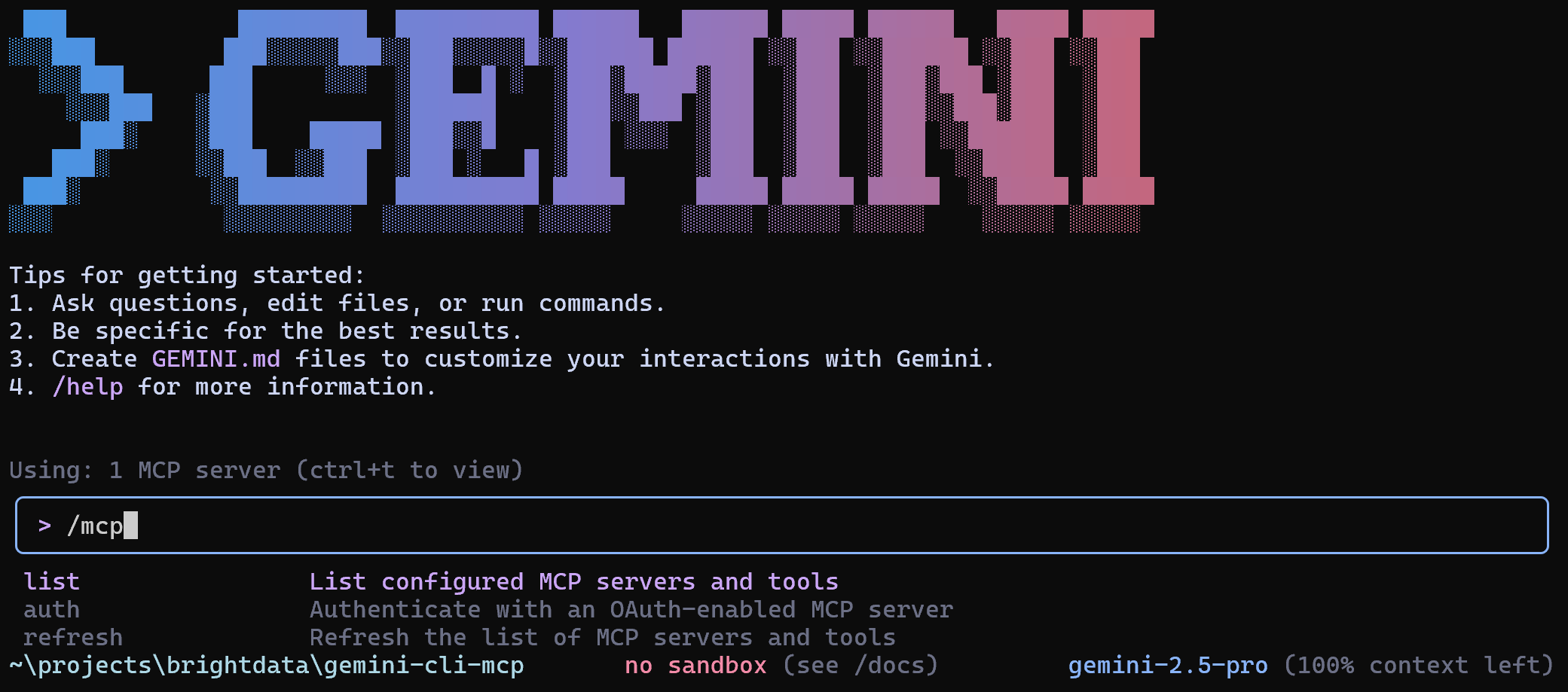 Typing the /mcp command