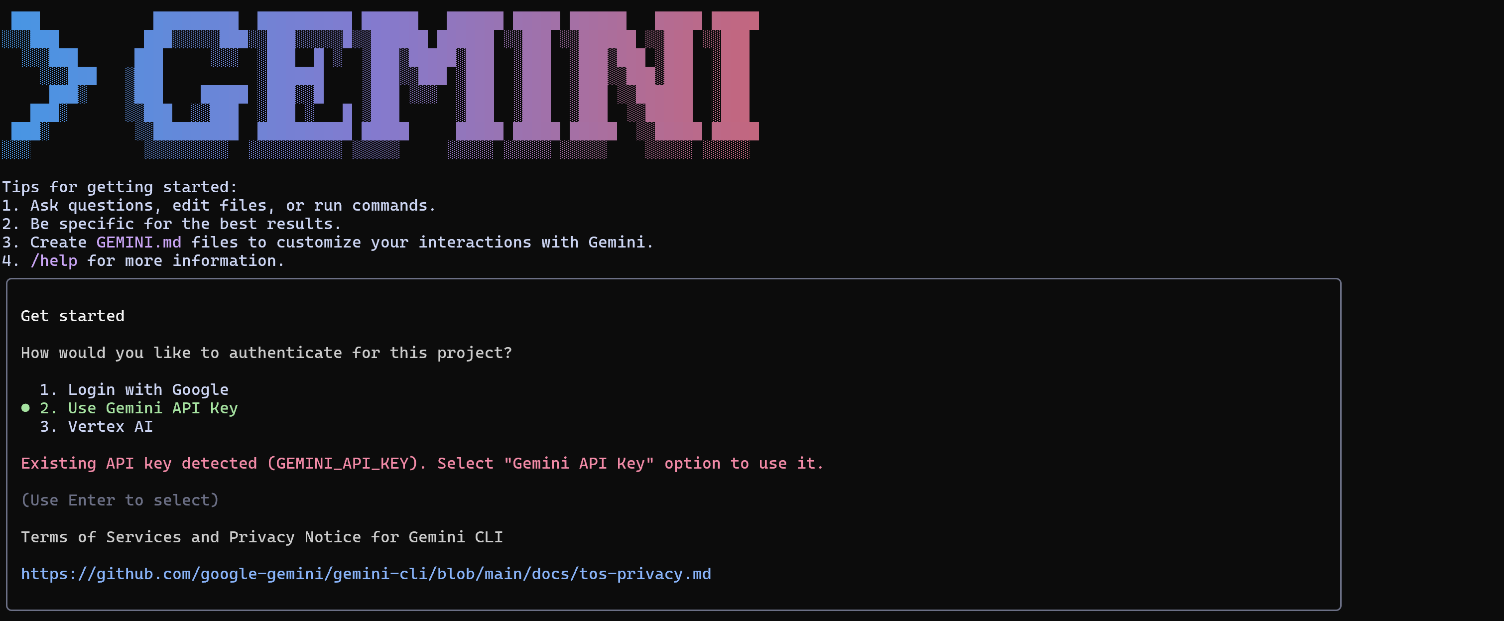 The Gemini CLI authentication view
