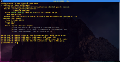 Go proxy servers