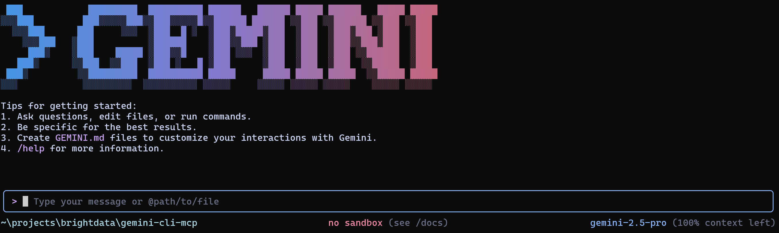 The Gemini CLI prompting view
