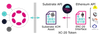parachain jumping