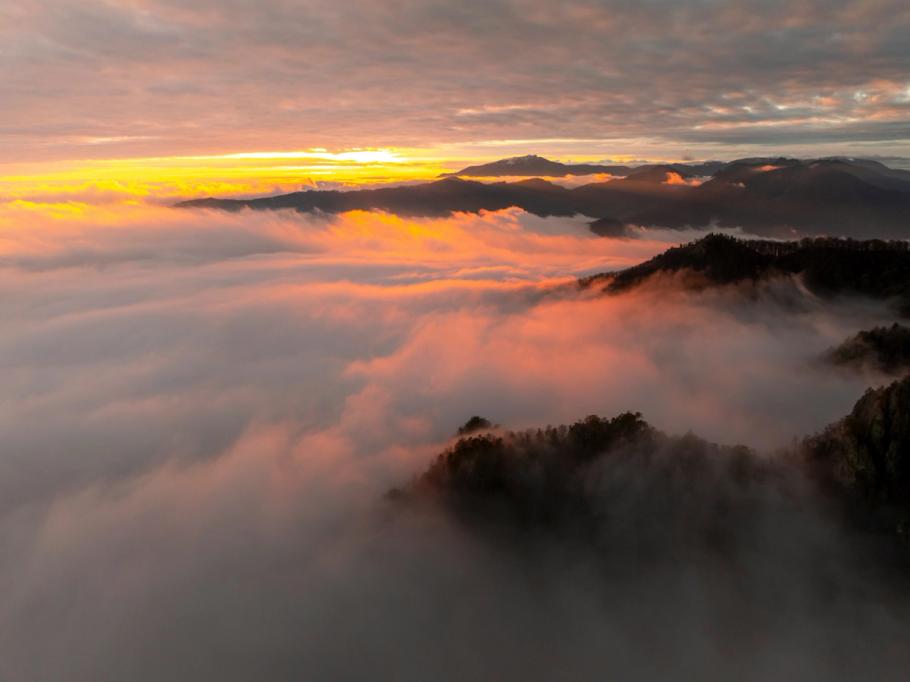 Mountain peaks above a sea of clouds lit by golden sunrise light