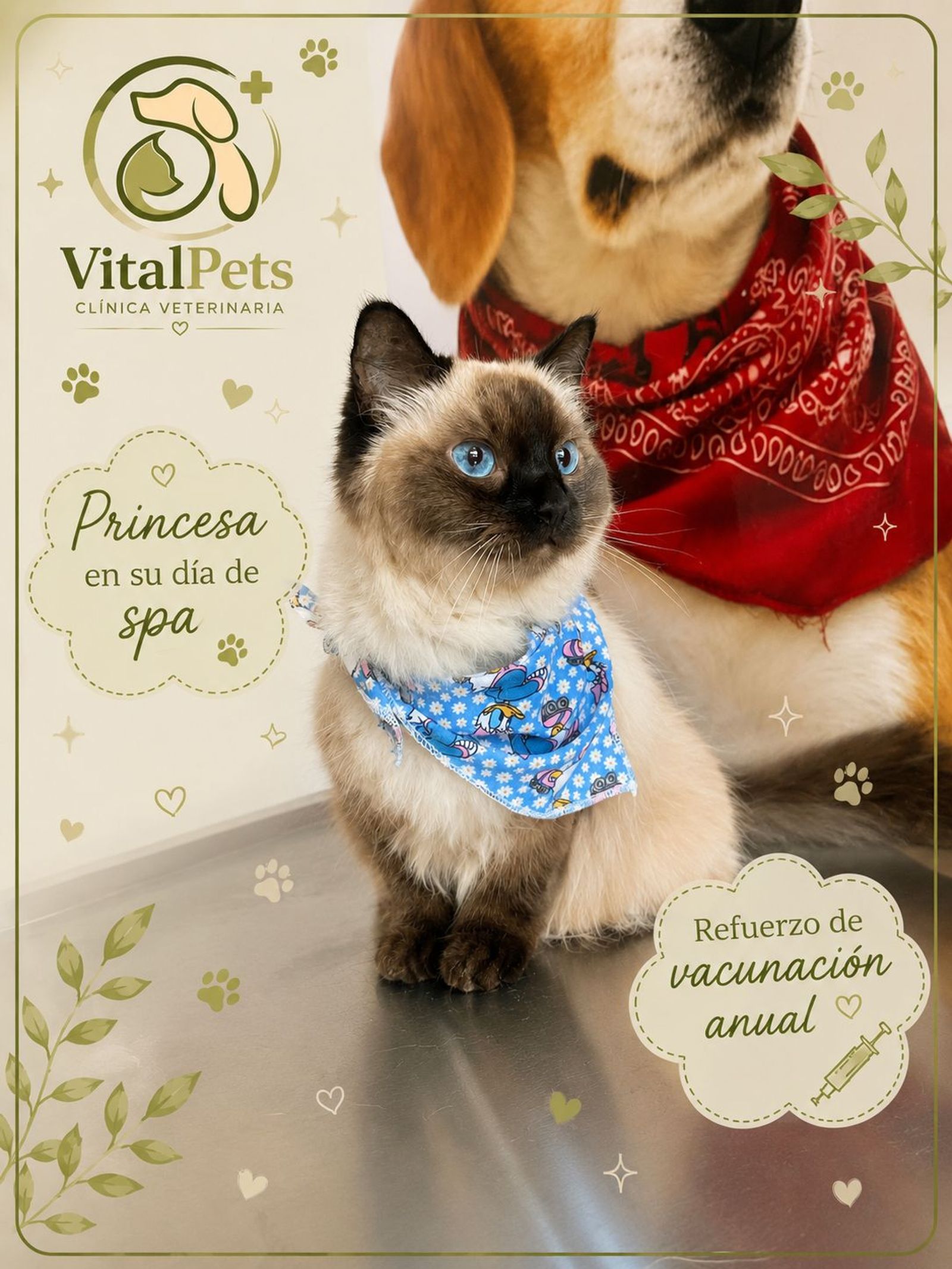 Princesa en su dia de spa.