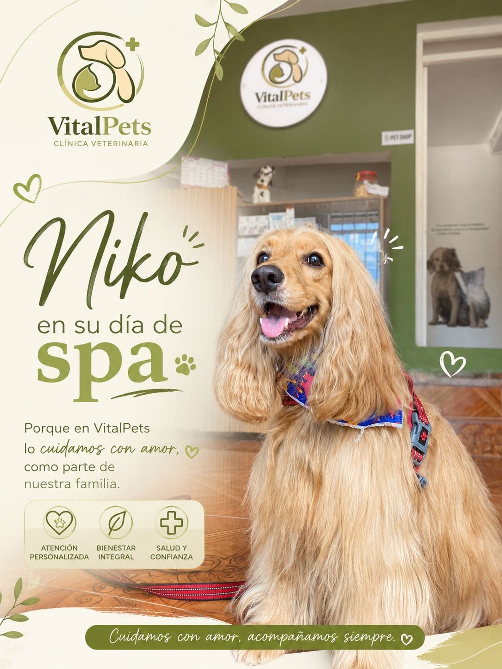 Niko, nuestro cliente fiel.