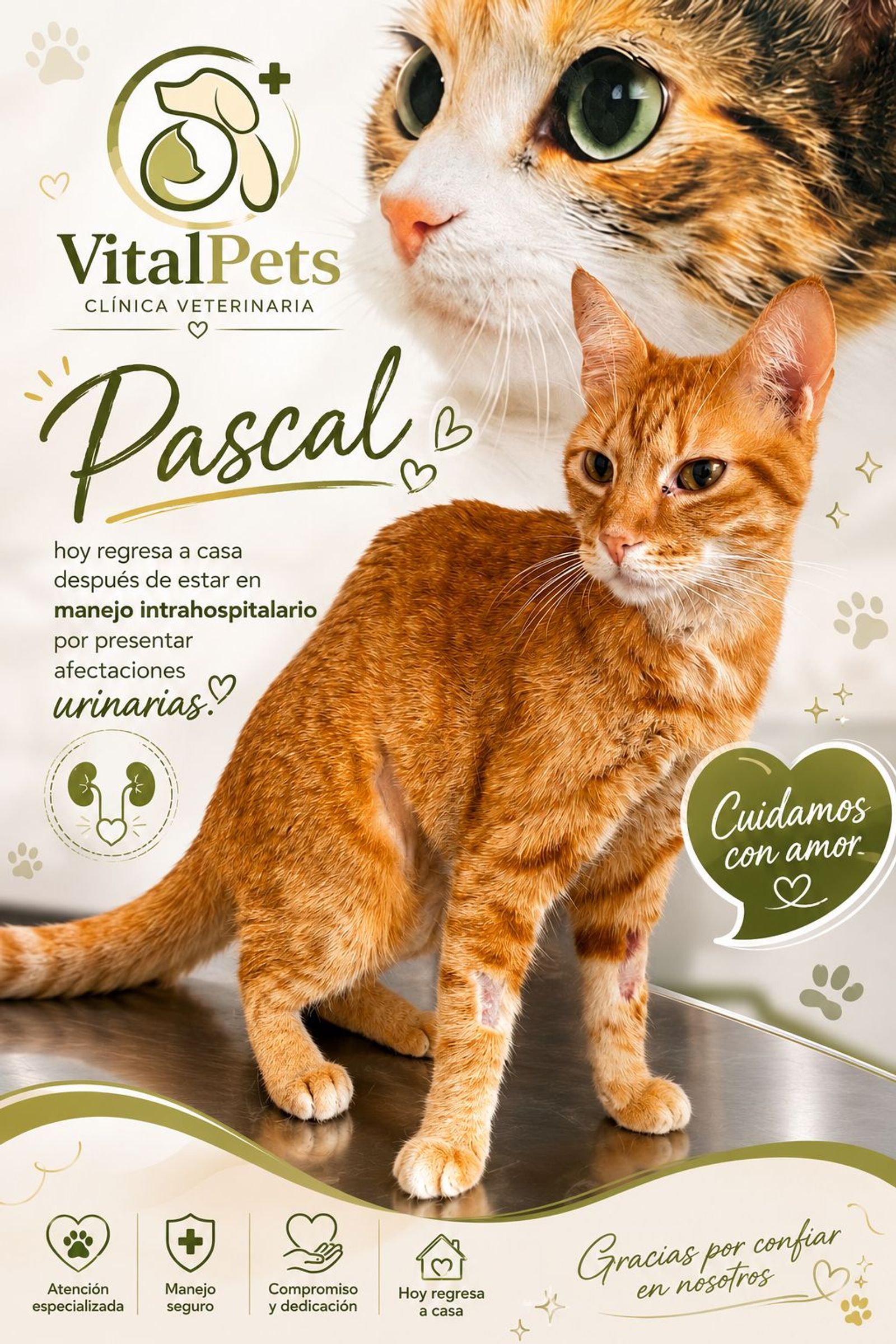 Pascal después de sus días en cuidado intrahospitalario.