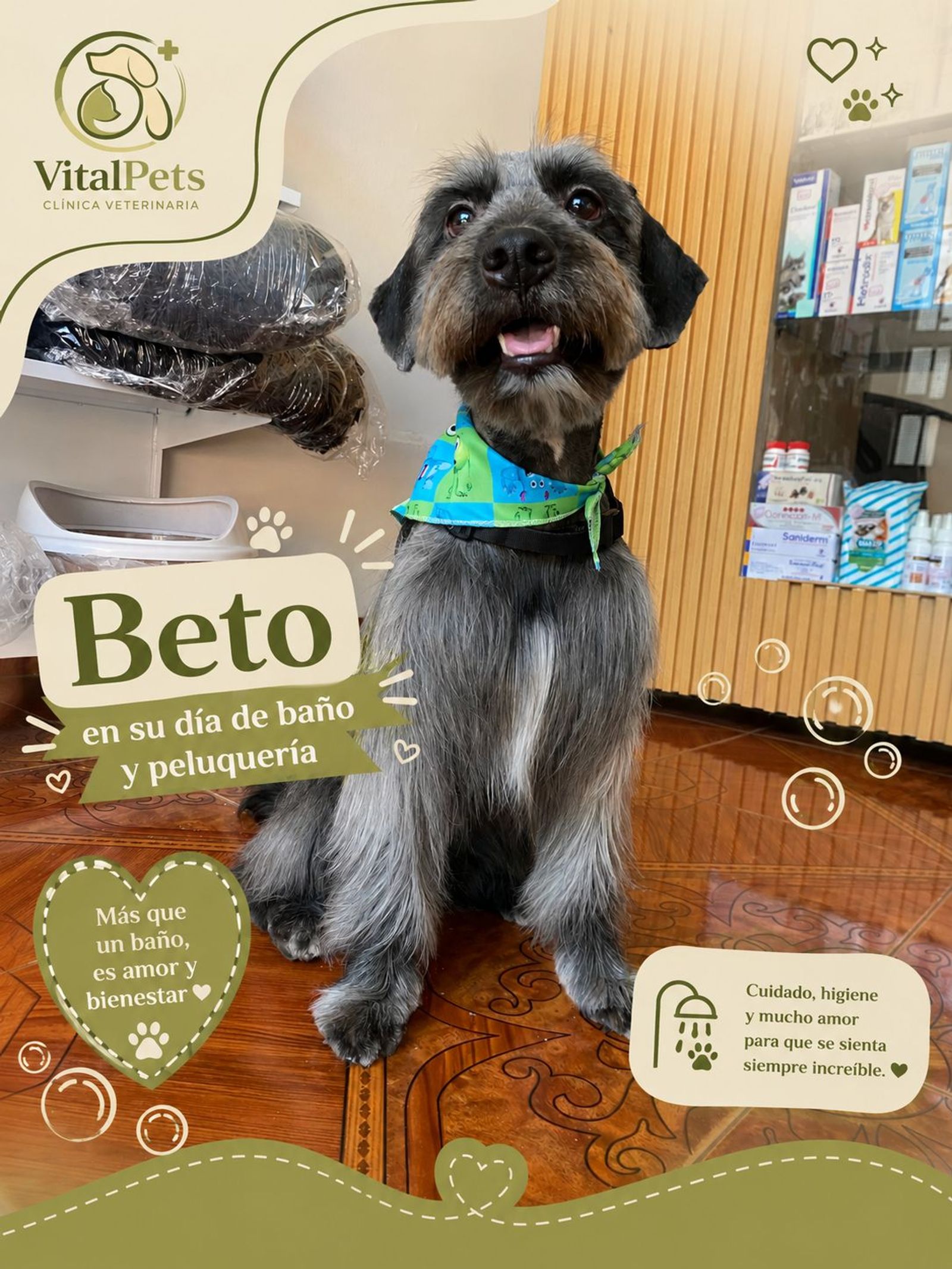 Beto, en su dia de spa