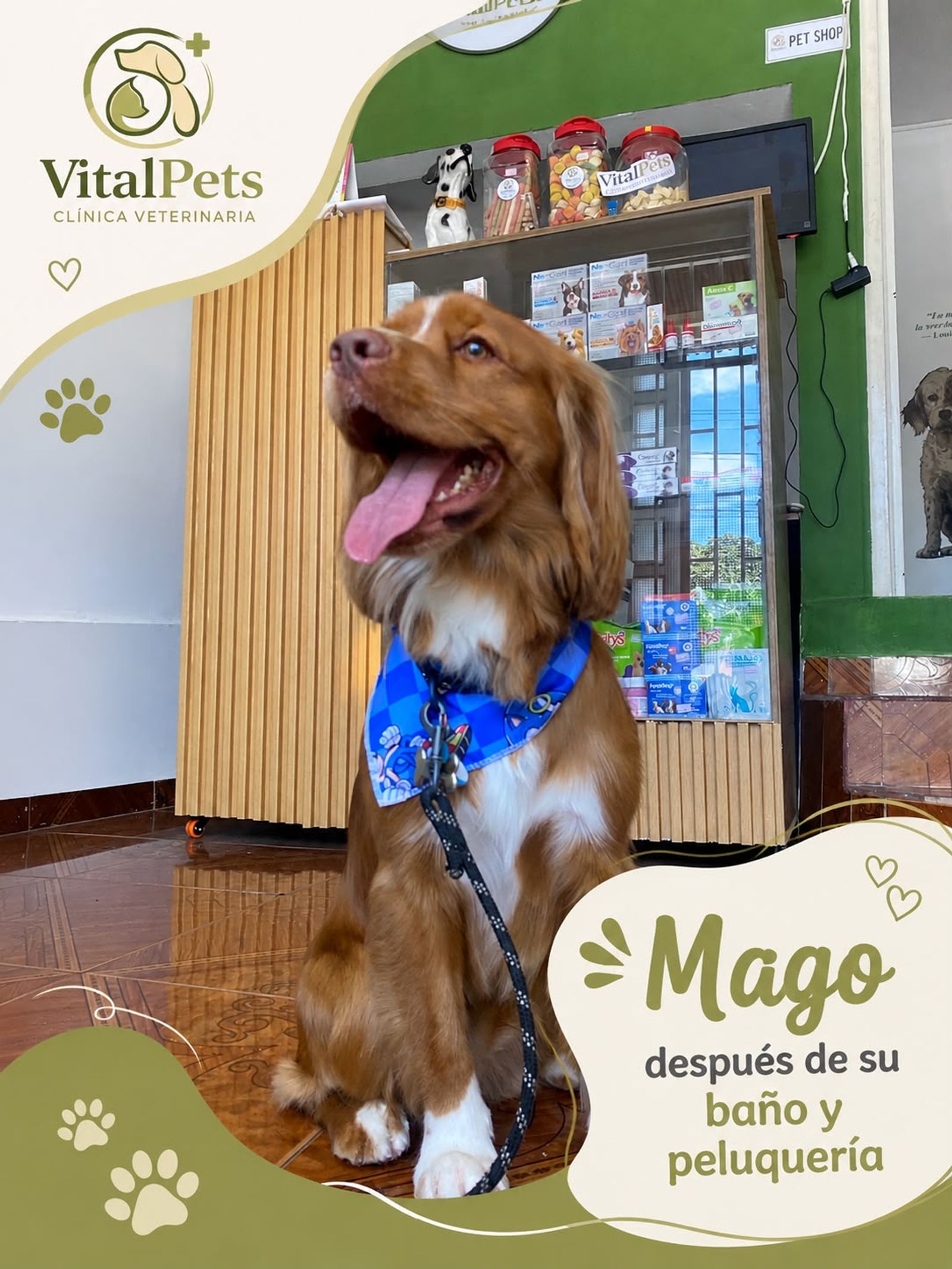 Mago feliz con su nuevo look