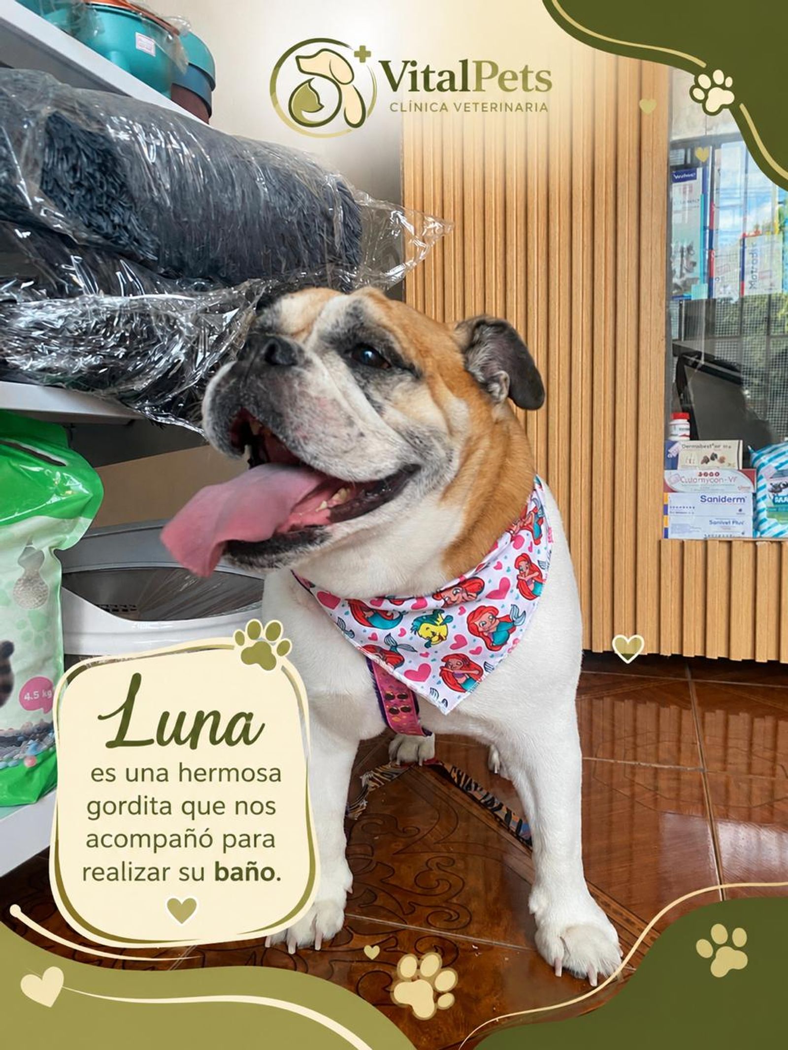 Lunita