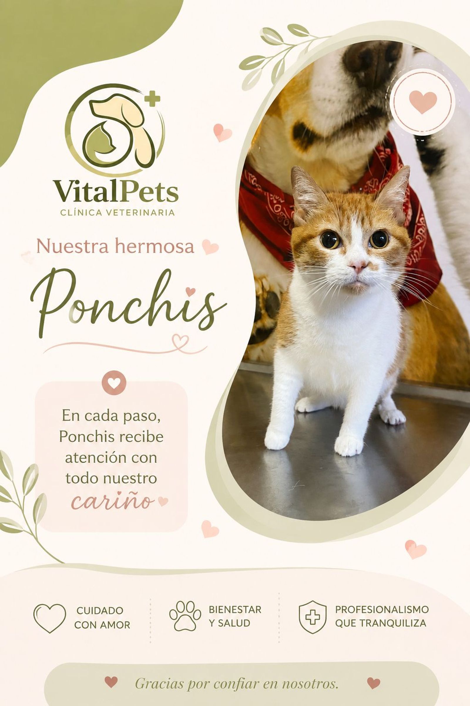 Ponchis