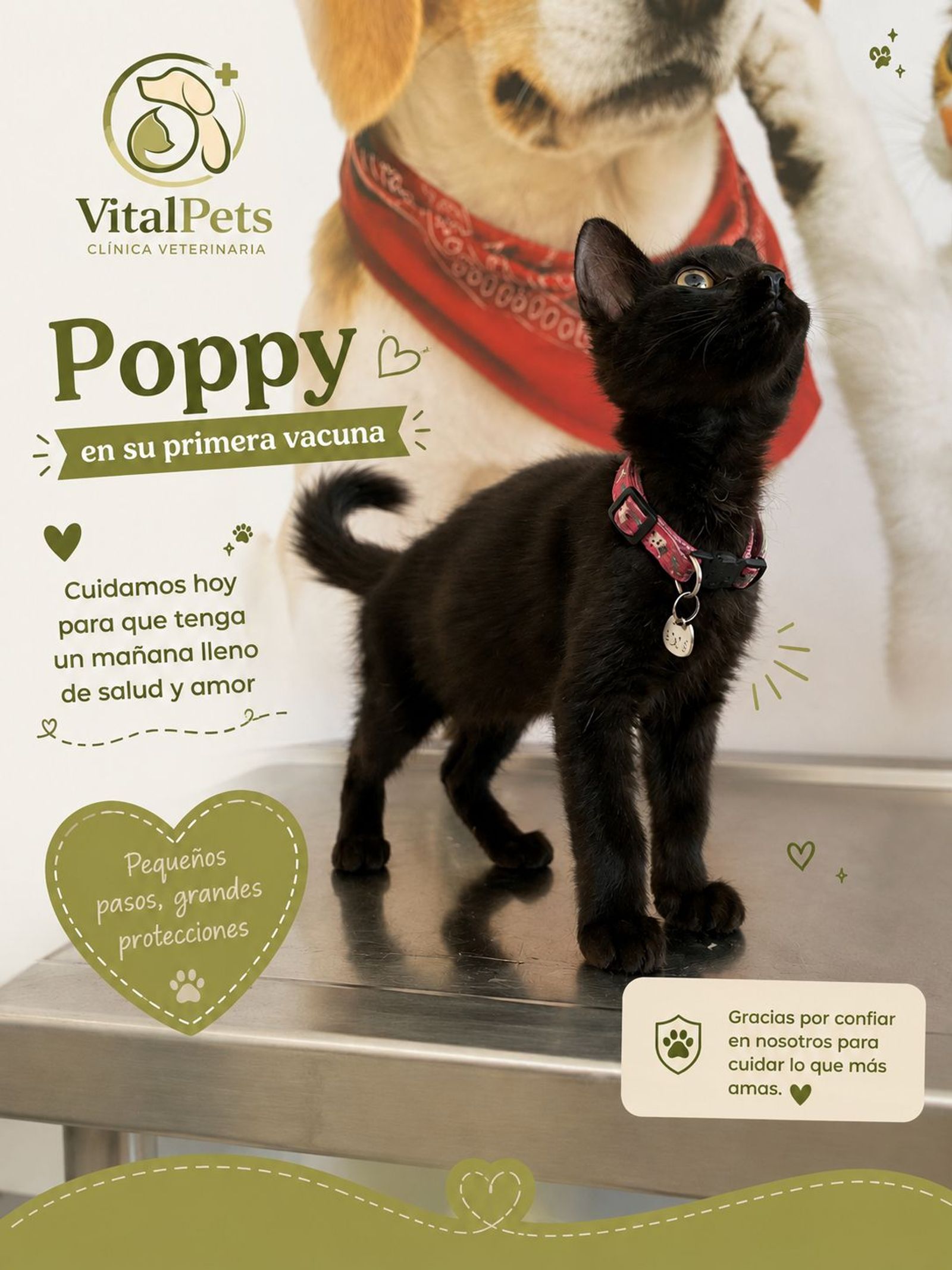 Poppy, en su vacunación.