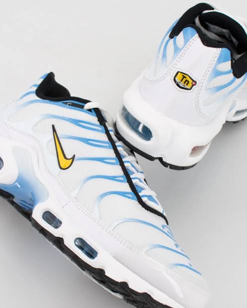 TNs air Max plus 