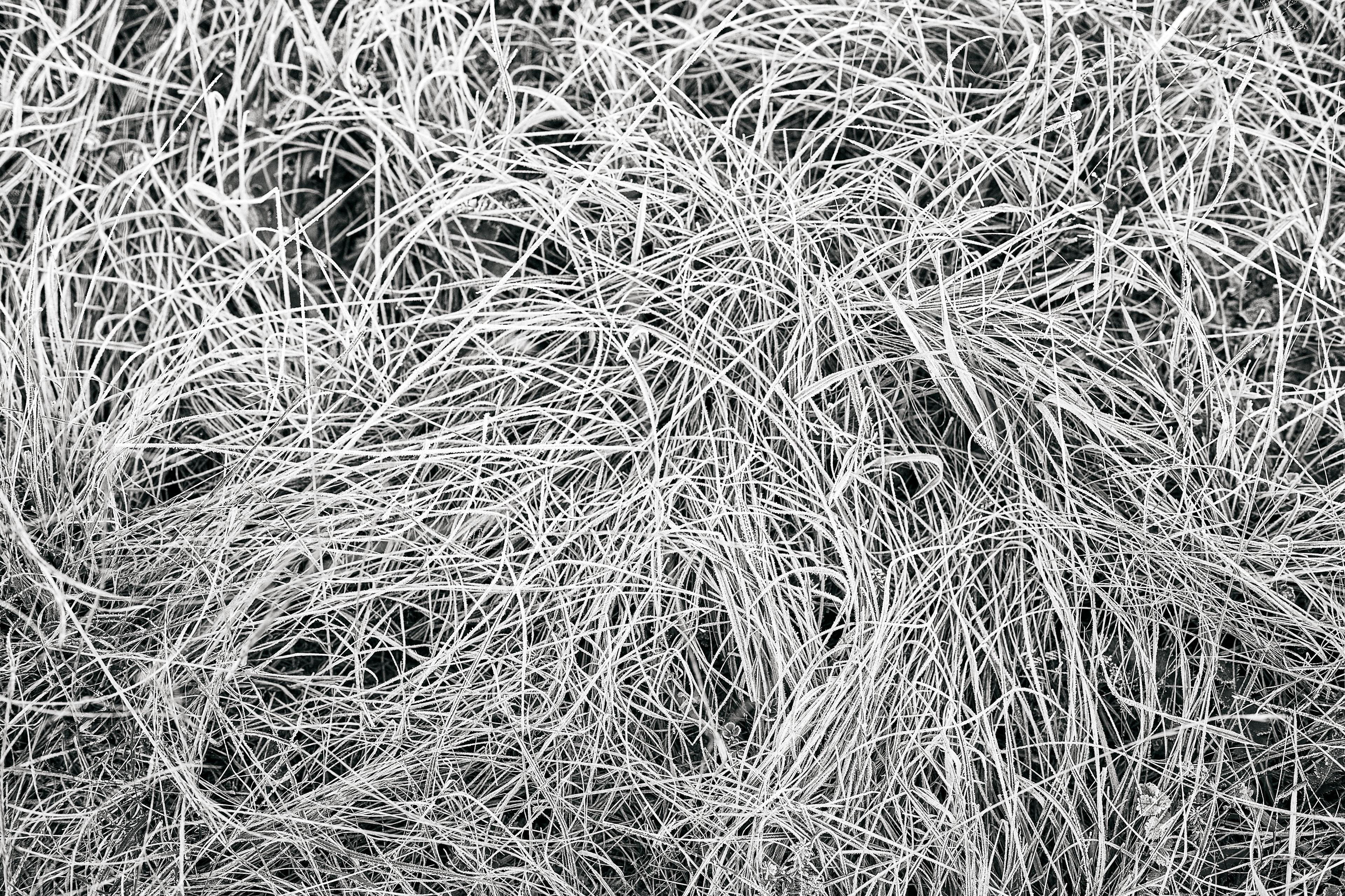 Albwacholder Landschaft