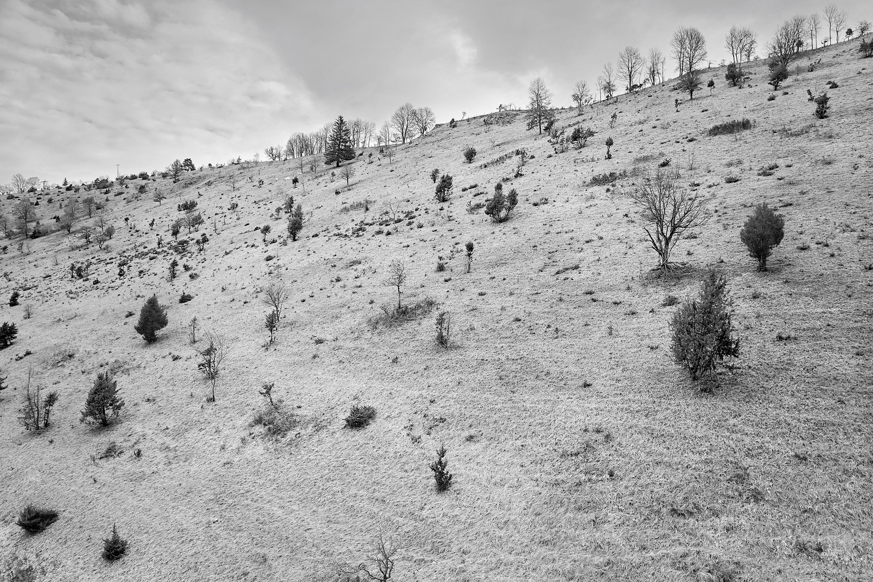 der Hocker, Hocker aus Wacholderholz der Schwäbischen Alb, Oliver Jung Fotografie