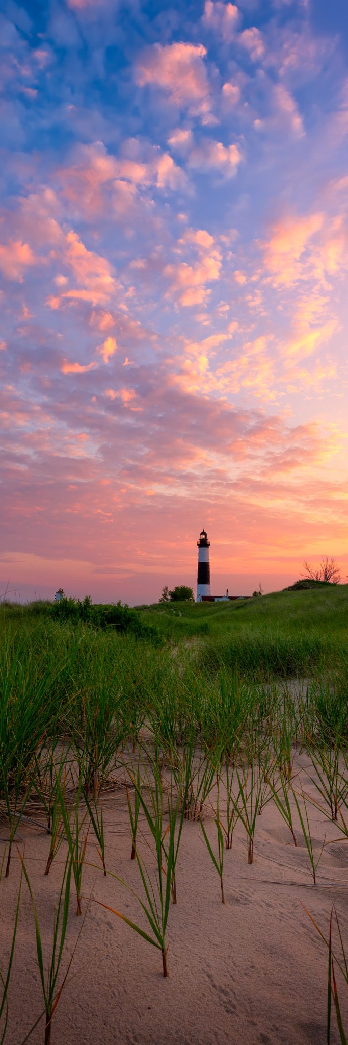 Vertical view of Big Sable Point Lighthouse, small in the dune grass, pink and blue dawn sky filling the frame.