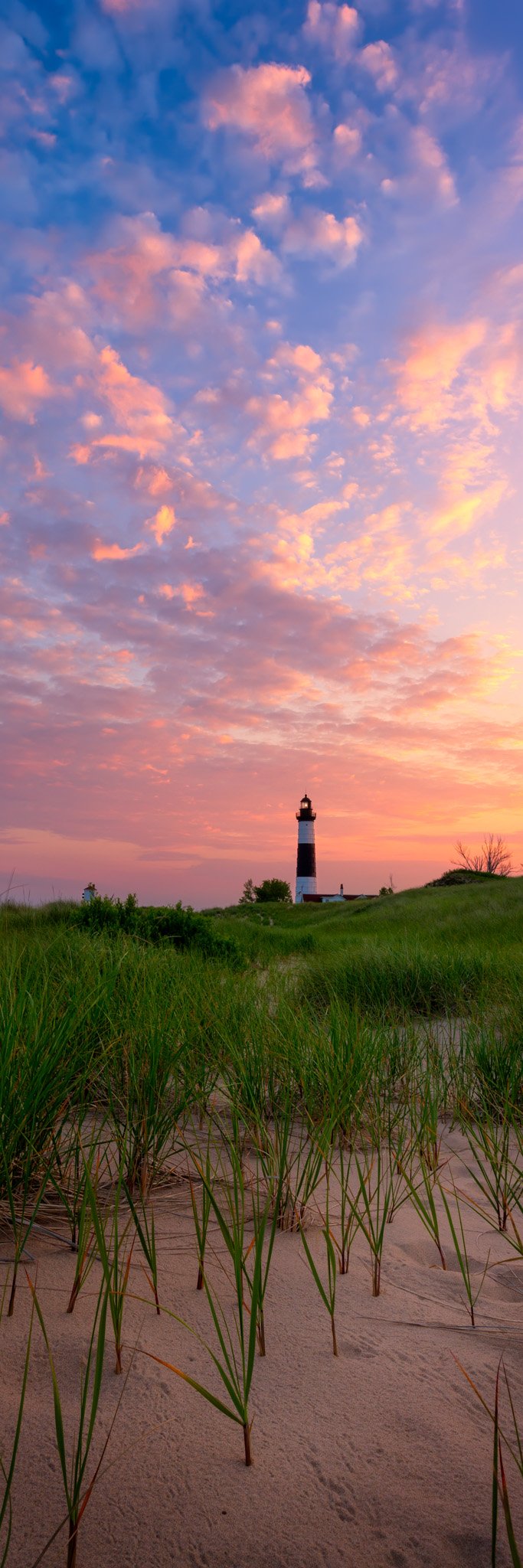 Vertical view of Big Sable Point Lighthouse, small in the dune grass, pink and blue dawn sky filling the frame.