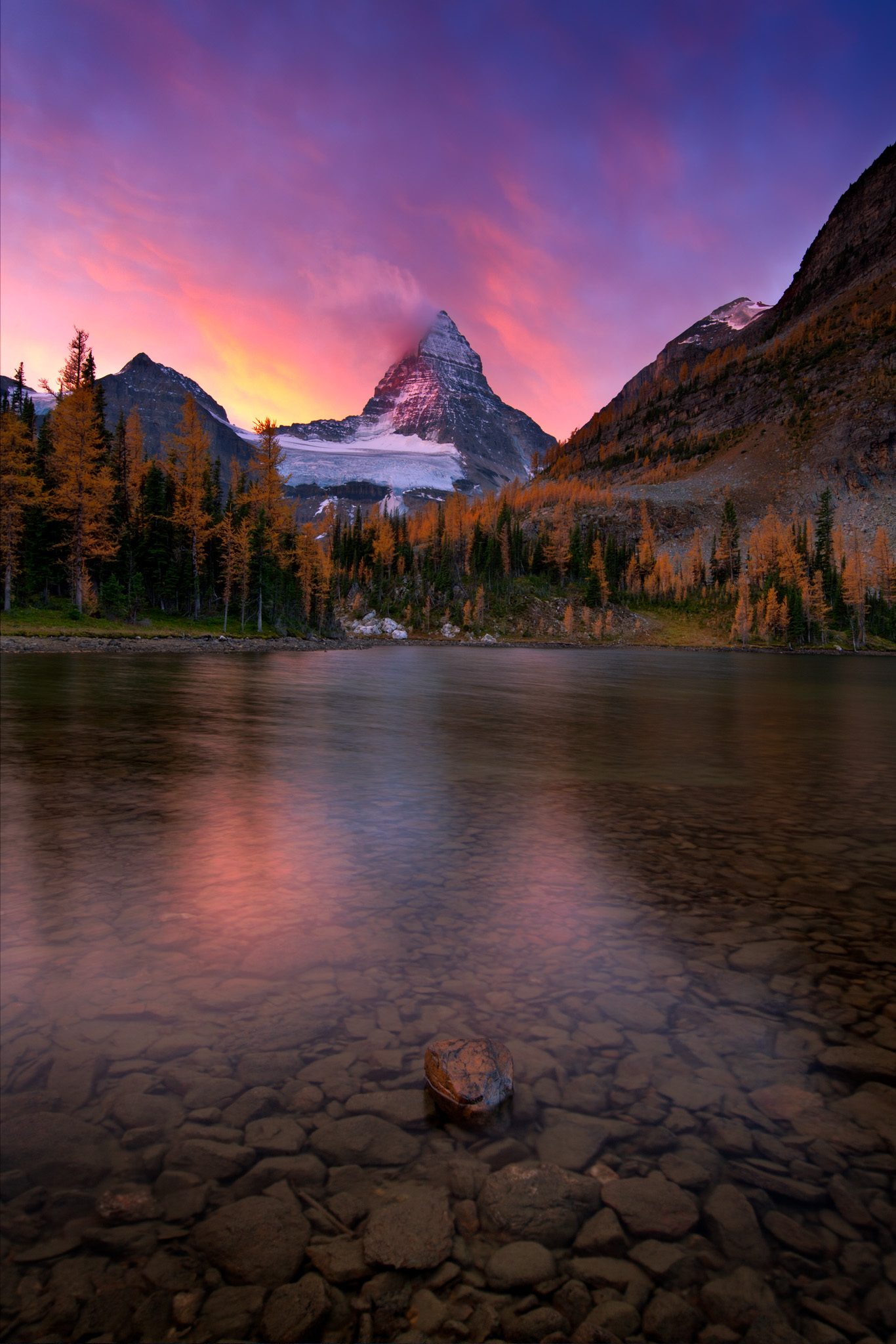 Mount Assiniboine at sunrise above Sunburst Lake with golden larches, Mount Assiniboine Provincial Park, British Columbia.