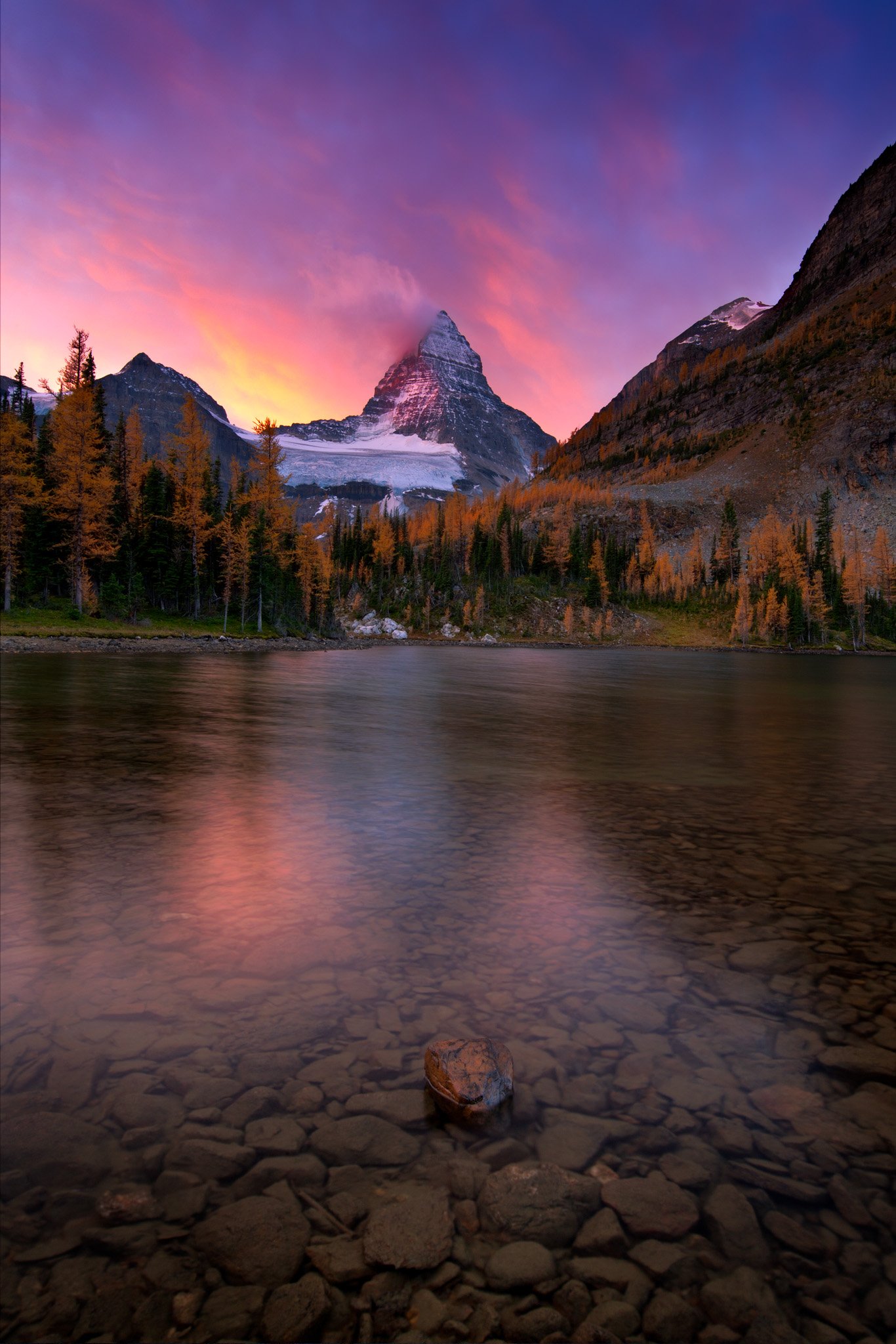 Mount Assiniboine at sunrise above Sunburst Lake with golden larches, Mount Assiniboine Provincial Park, British Columbia.