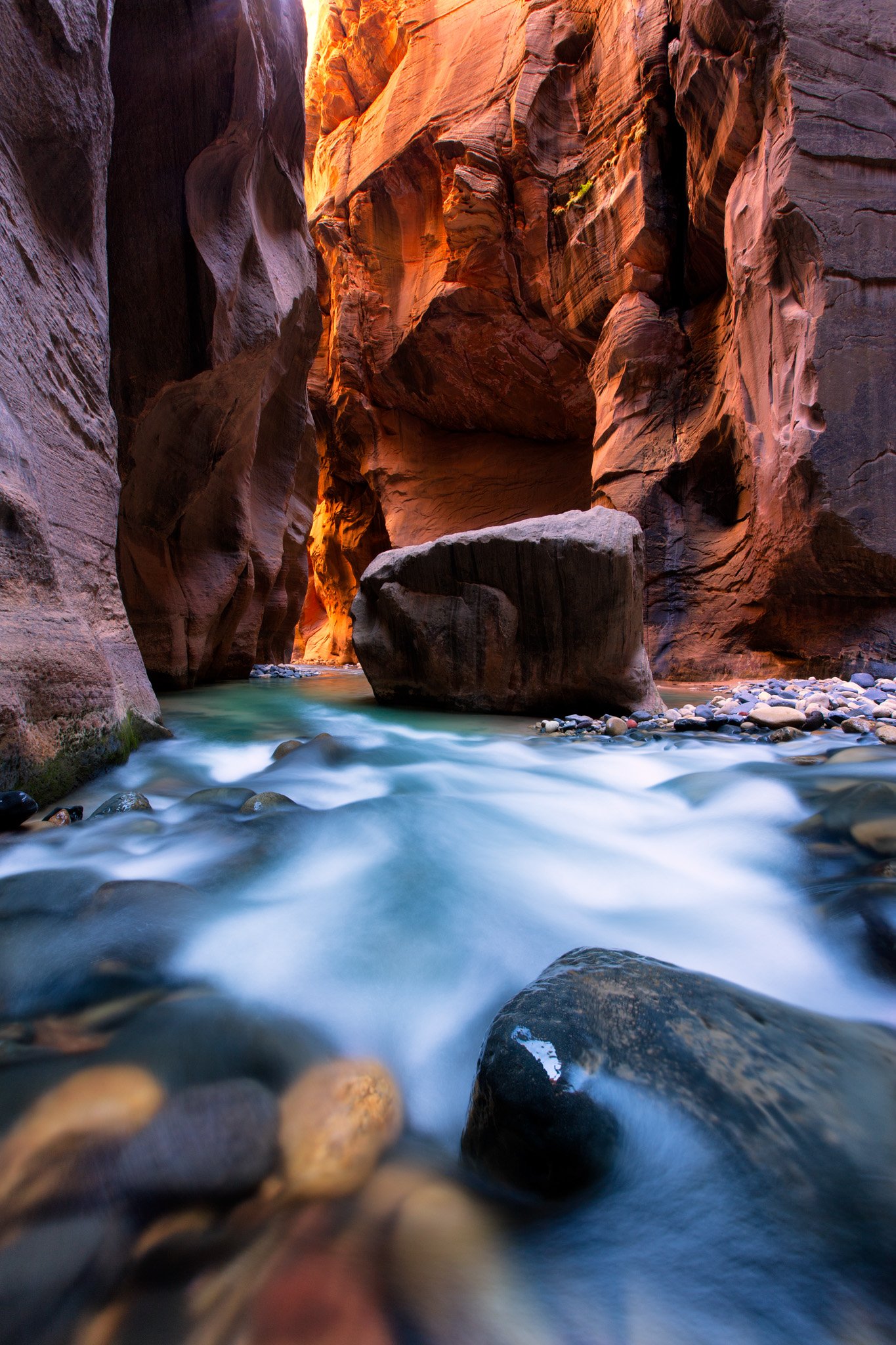 A low view from just above the Virgin River in the Narrows of Zion, with water rushing over rounded cobbles toward a large boulder and canyon walls glowing orange above.
