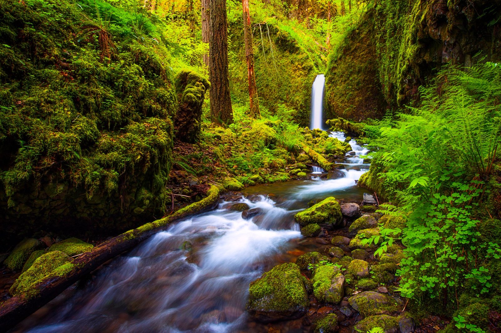 A short waterfall in a mossy grotto, the creek cascading over rocks in the foreground.