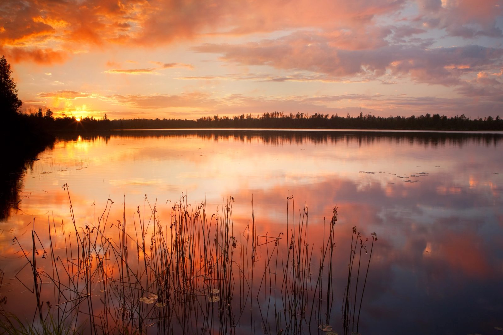 Sunset over a northern lake, orange and pink cloud reflected in flat water, dry reed stems silhouetted across the foreground.