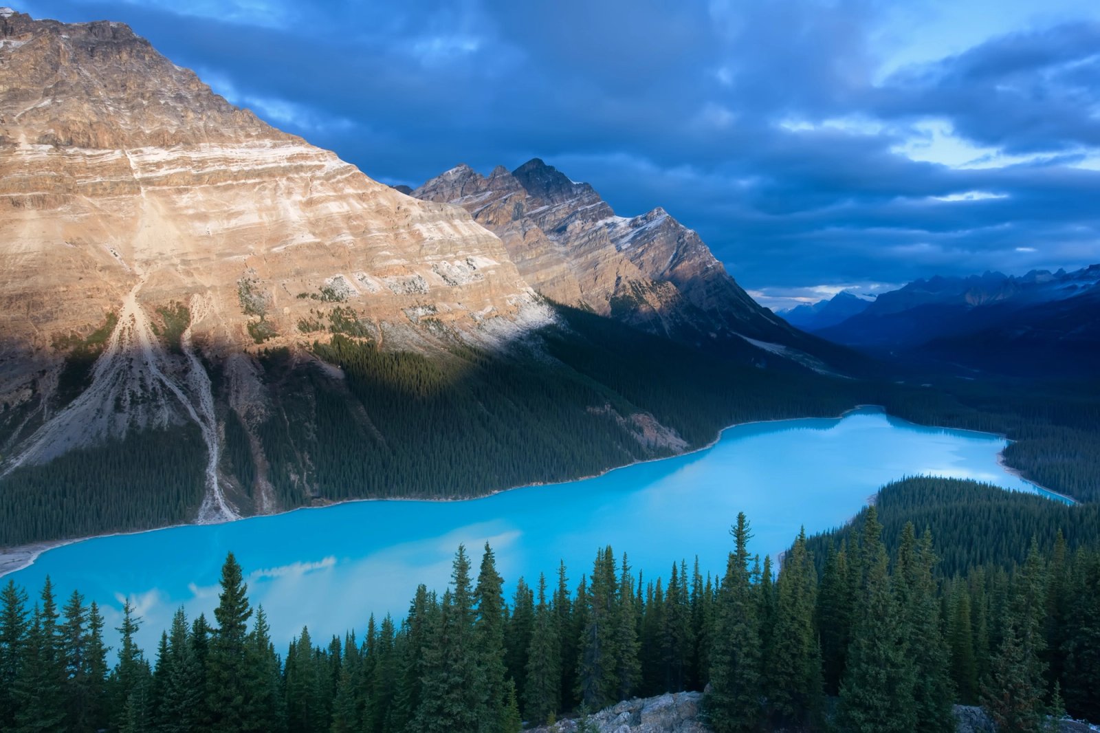 Peyto Lake at sunrise from the overlook above it, Banff National Park, Alberta, with warm light on the far peaks and the turquoise basin still in shade.