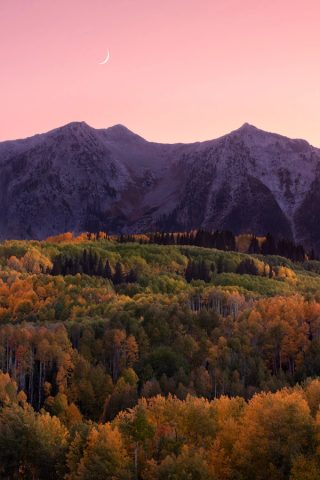 Beckwith Mountain at twilight, fall aspens in the foreground and a crescent moon above the peaks.