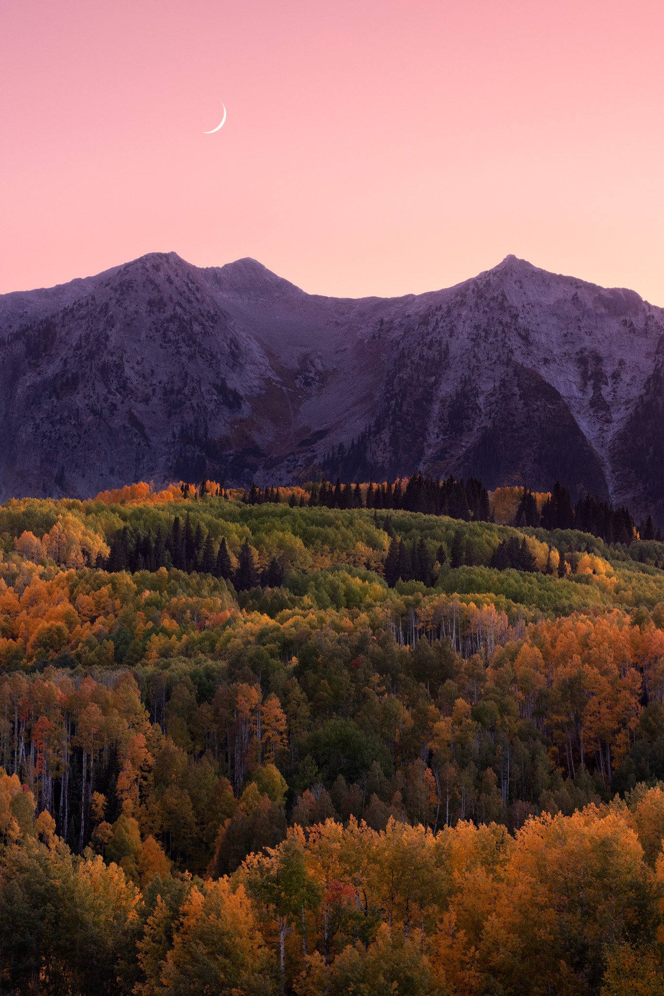 Beckwith Mountain at twilight, fall aspens in the foreground and a crescent moon above the peaks.