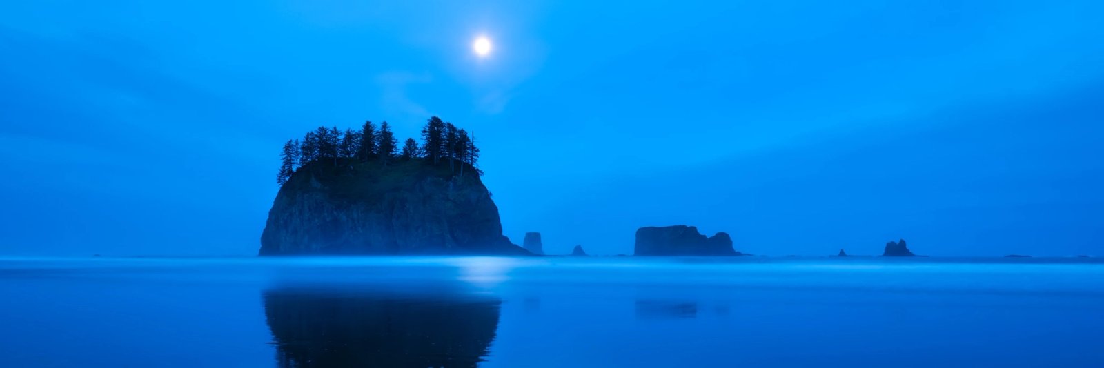 A large tree-topped sea stack and a line of smaller stacks silhouetted in deep blue twilight at Second Beach, Washington, with the moon above and the big stack mirrored in the wet sand.