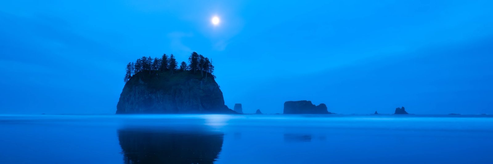 A large tree-topped sea stack and a line of smaller stacks silhouetted in deep blue twilight at Second Beach, Washington, with the moon above and the big stack mirrored in the wet sand.