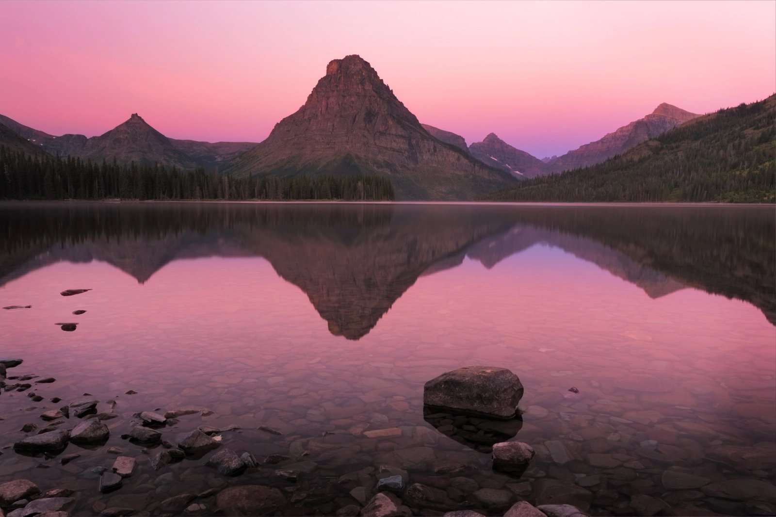 Sunrise light on Sinopah Mountain reflected in the still water of Two Medicine Lake, Glacier National Park, Montana, under a pink sky.