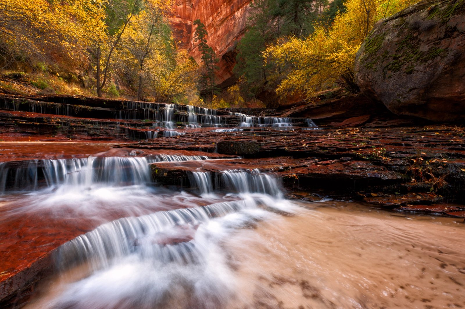 Archangel Falls in Zion in fall, silky water over red sandstone shelves, yellow leaves and a cliff wall beyond.