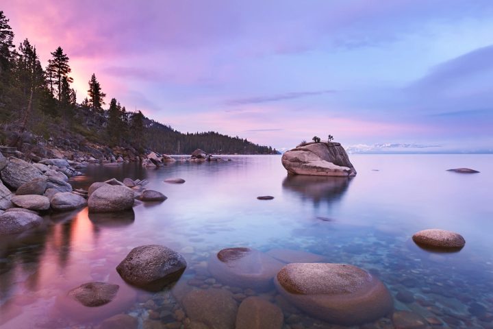 Pink sunrise light on the blue water of Lake Tahoe beside Bonsai Rock, with snow-capped Sierra Nevada peaks across the lake.