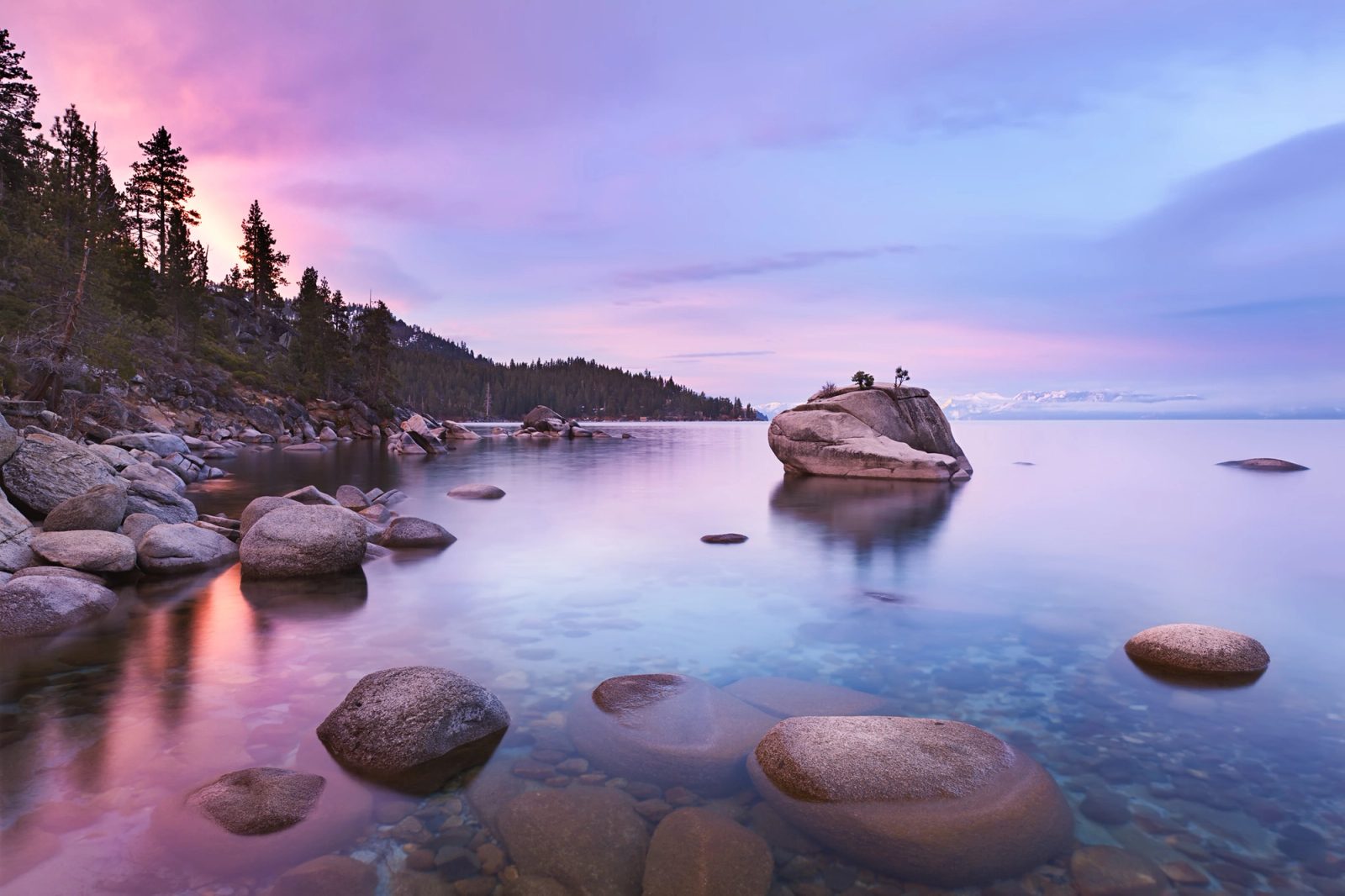 Pink sunrise light on the blue water of Lake Tahoe beside Bonsai Rock, with snow-capped Sierra Nevada peaks across the lake.
