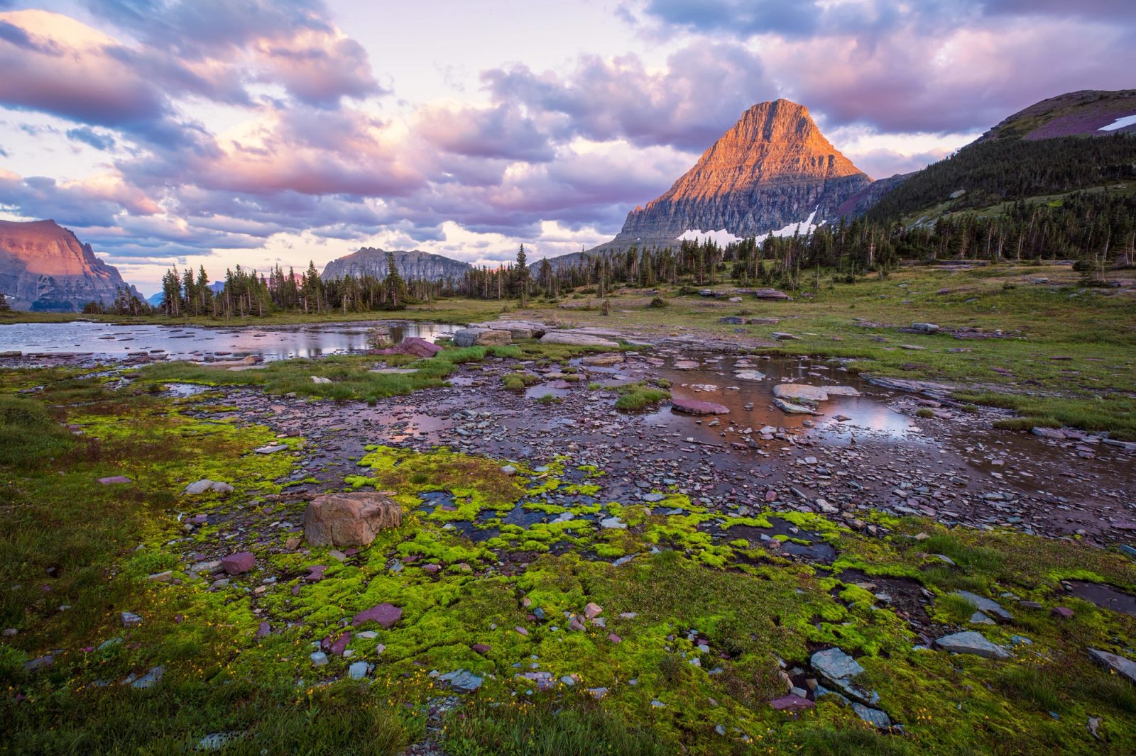 Last light on Reynolds Mountain above the alpine pools and moss at Logan Pass, Glacier National Park, Montana.