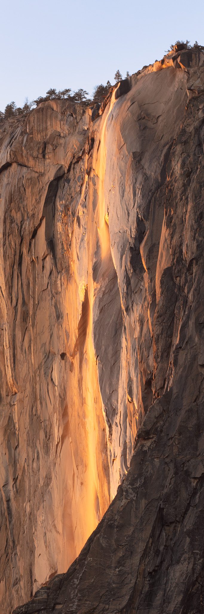 Horsetail Fall on El Capitan glowing orange at sunset in Yosemite Valley, a thin ribbon of water against dark granite under a clear evening sky.
