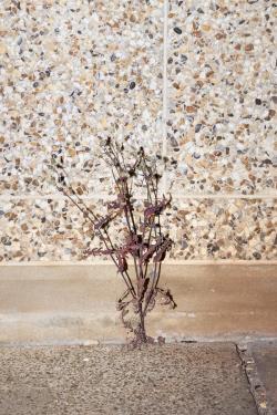 oliver_jung_le_havre_architecture_brutalismus_perret_kauresmäki