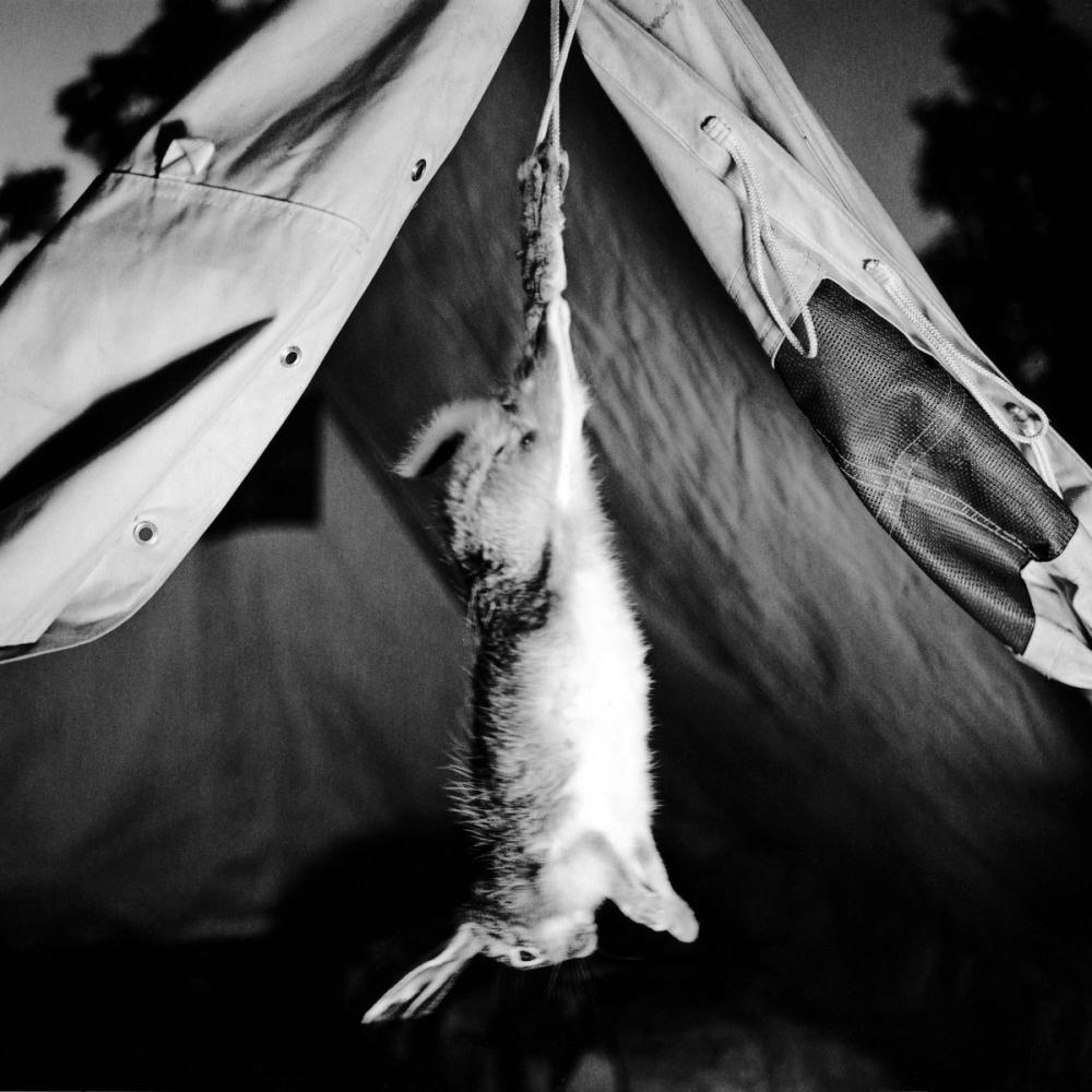 Missing alternative text