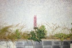 oliver_jung_le_havre_architecture_brutalismus_perret_kauresmäki