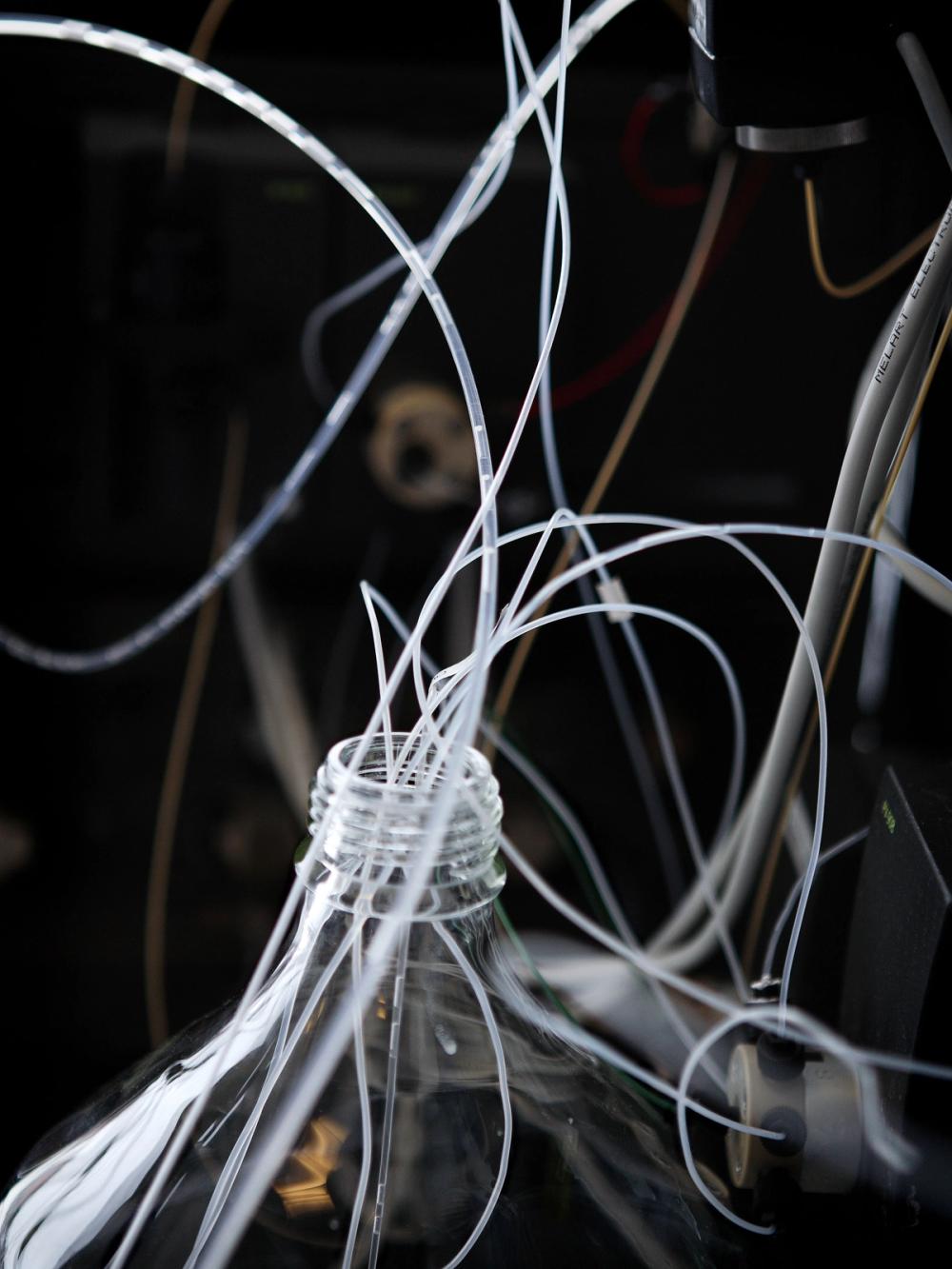 Missing alternative text