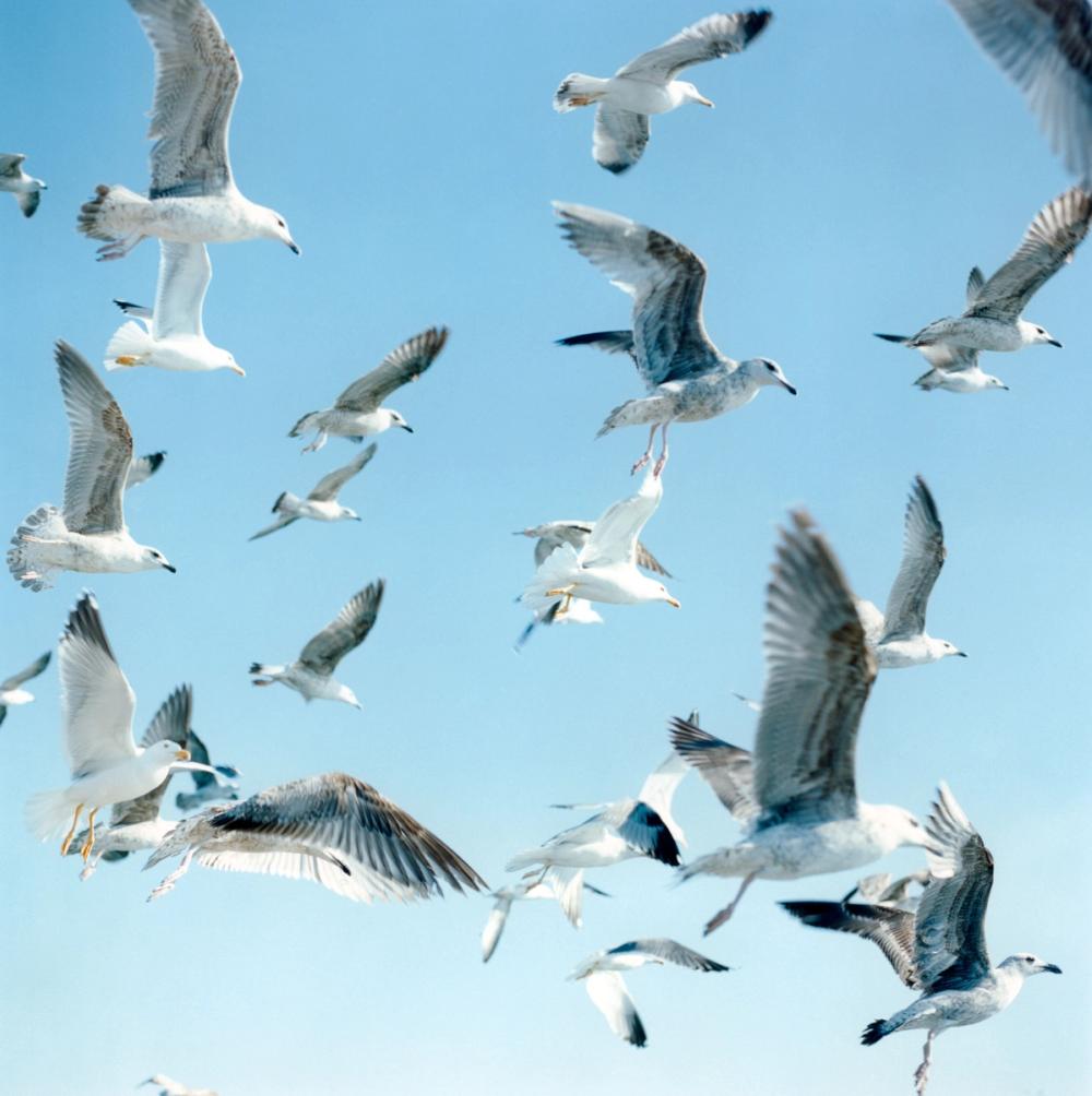 Missing alternative text